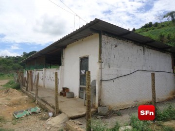 CANIL PÁDUA 8