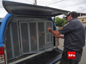 polícia preso 5