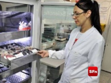 padrao-sfn-médio