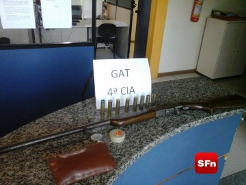 apreensão arma