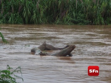 cheia rio paraíba do sul janeiro de 2016