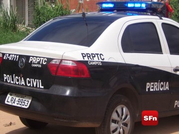 perícia sf 1