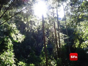 parque estadual do desengano foto vinnicius cremonez 1