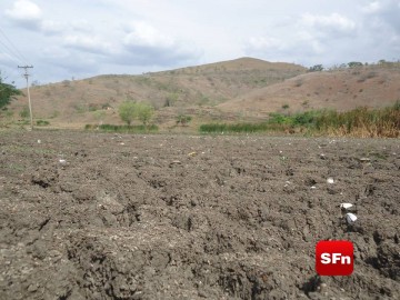 seca paraíba 7