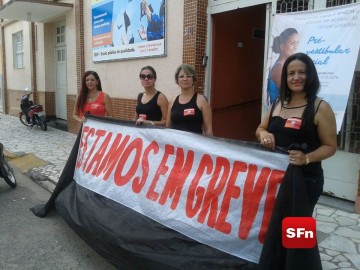 greve professores
